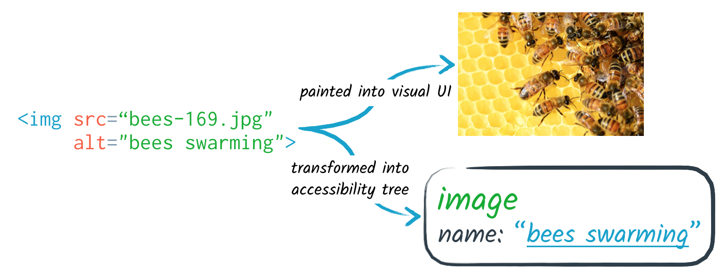 An HTML img element is painted into visual UI, but also conveyed in the a11y tree as a node with the image role